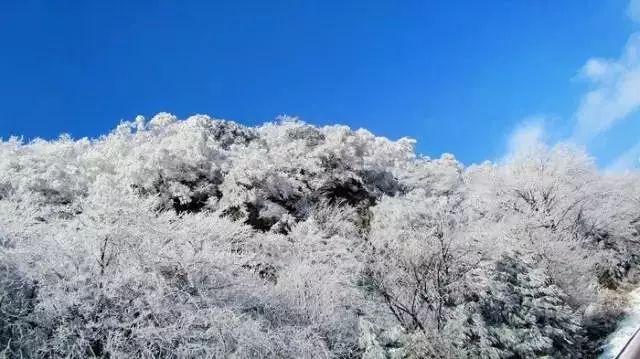 探索冷知识,尽在破解游戏盒子app哪个好平台